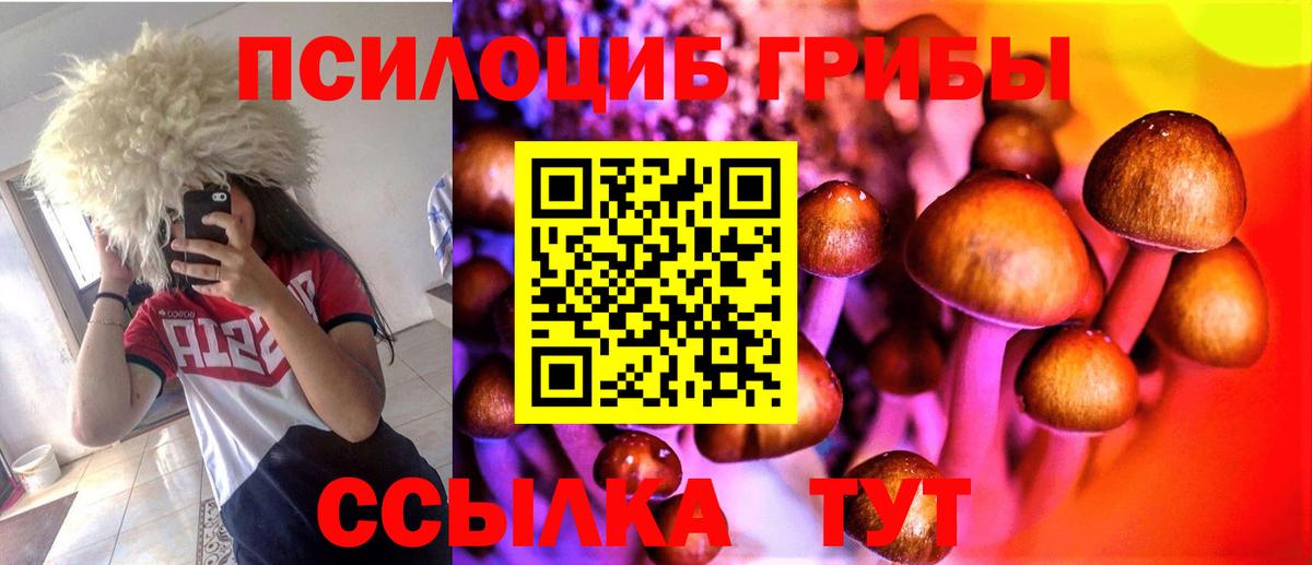 Клинцы  Галлюциногенные грибы мицелий  Вход с VPN  где купить наркоту  Псилоцибиновые грибы Cubensis 